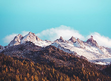 有损礼节，法国男篮后卫最后时刻与东契奇握手致意后上空篮险酿冲突